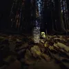 mimimimimimimimi011