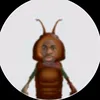 roblox.itsme.ashley