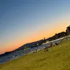 calvin_r123