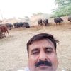 gulzar.ahmed1580