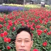 thao.hong31