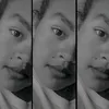 fana1342