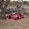 سعود القحطاني 🏕️🌱