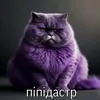 cracleqq