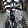 tuan.hoa.hong.tua