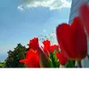 beauty3_0