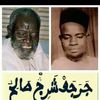 amydiallo.20150469