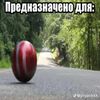 iskatel_99