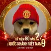 noicovoimanunited