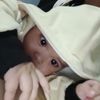 abay4786