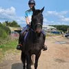 darc.equestrian