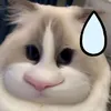 dau._.phongg