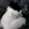 justalilybit_456