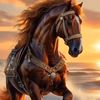 nour73728