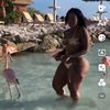 Suzyque876LLC