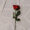fajir.ahmed44