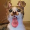 vic_7372