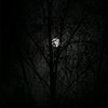 abo5od_252
