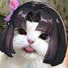 shiinanial