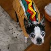 weinersnitzal