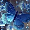 queensaida24