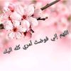 user3430471761534