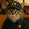 gatomcdonalds