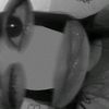 who_melyy