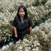 cewebingung87