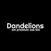 DANDELIONS (am prem cek bio)