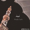 nabilahsaleh_