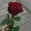 leen.lolo32