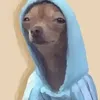 cciancruz