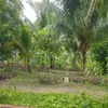 nhat7523