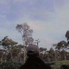 rehan_mq