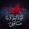 bellil.snousi