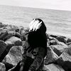 alya._nyy