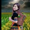 myasapal545