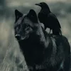 silentzyx8
