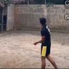 setter.44