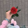 baba.ki.pari9074