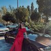 lizza_a