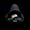 mmll_________313