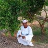 user6224539383341