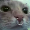 spooky_hoe1
