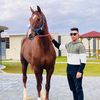 user4616011632307