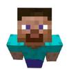 mine.craft.steve