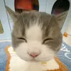 pun_1216