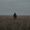 Just a Lonely Man
