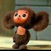 cheburashka446